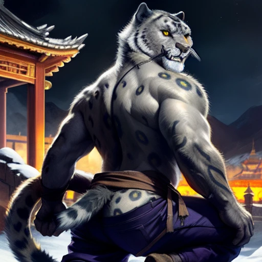 (by taran fiddler), (by darkgem:0.8), (by chunie:1), masterpiece, grey fur, nipples, navel, portrait, seductive, looking at viewer, smile, grin, teeth, (tailung:1.2), snow leopard, (gold eyes), detailed eyes, male, solo, anthro, crouched on roof, (looking back, big butt), roof tiles (detailed temple background), Chinese temple, (night), (Purple pants, brown sash)