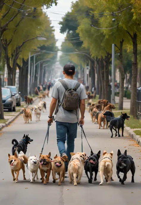 A handsome boy, walking with multiple dogs on an avenue. (best quality,4k,8k,highres,masterpiece:1.2), ultra-detailed, realistic...