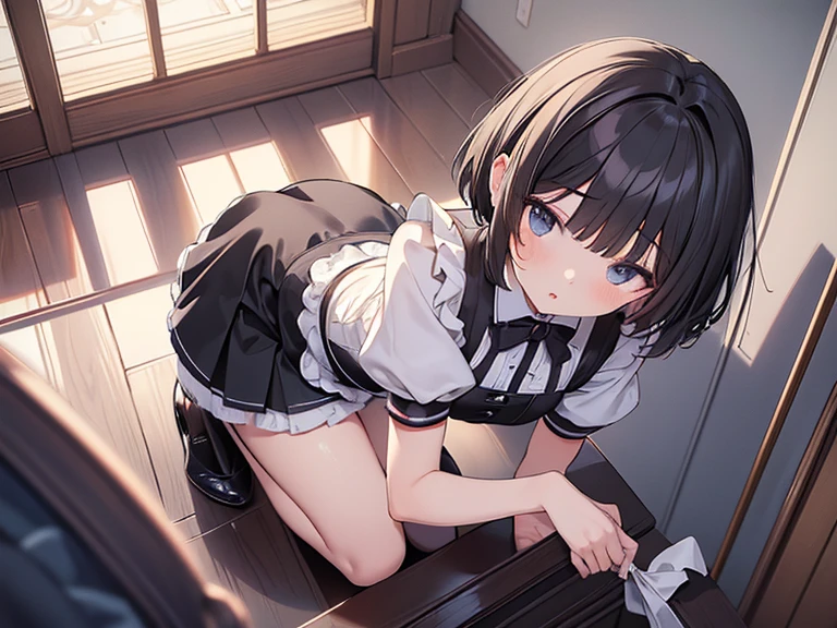 (masterpiece, highest quality, highest quality, Official Art, Cosmetology and aesthetics: 1.2), Bobcut, Black Hair,Short skirt maid outfit, Crossdresser,Cute, delicate and short, upskirt, panties, (all fours:1.2), cleaning,from above, from behind,Luxury House,corridor