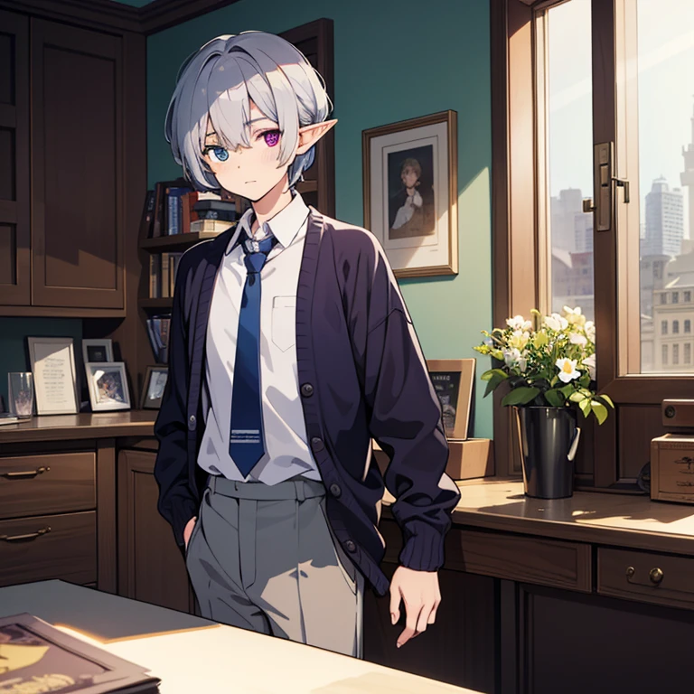 (best quality, high resolution, masterpiece:1.2), a cool young elf boy standing alone, vibrant blue and purple heterochromia iridum, bright silver medium length hair, wearing slacks, a white shirt, and a cardigan draped over his shoulders,