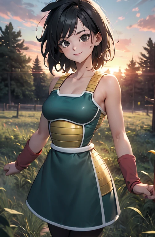 masterpiece, best quality, gine, saiyan armor, collarbone, green skirt, wristband, black pantyhose, upper body, smile, looking at viewer, field, trees, sunset sky, 1 girl, solo