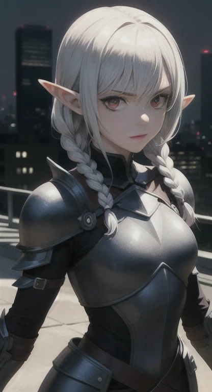 masterpiece, best quality, solo, darkknight, braids, red eyes, silver hair, elf princess, armor,