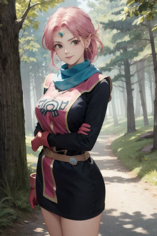 masterpiece,highest quality,Perfect Face,Complex,Beautiful views,ultra Realistic 8k CG,Perfect artwork,One girl,Dragon Quest: The Adventure of Dai,Dear,Big Breasts,Beautiful Eyes,Tight waist,Realistic,alone,Outdoor,forest,smile,
Primam,Medium Hair,Blue scarf,Circlet,Short dress,Pink Tabard,Black sleeves,belt,gloves,boots,(Arms crossed:1.2),