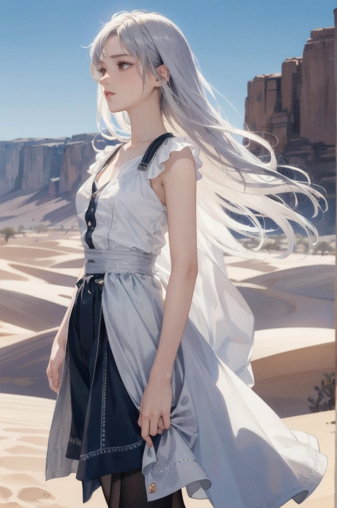 Beautifully drawn, high quality, Ultra-high definition CG illustration of a young woman with a calm expression, While staring into the distance、Her striking silvery white hair sways gently in the desert breeze.. The view behind her is vast and breathtaking., Immerse your audience in a world of wonder and exploration.