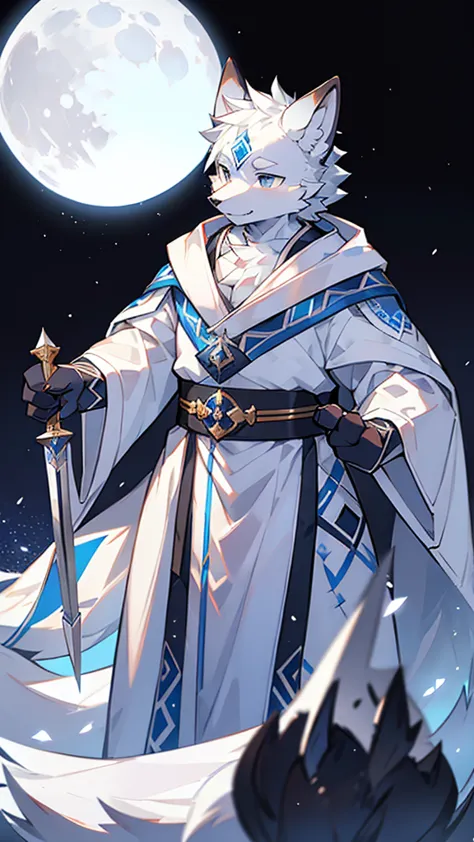 Exquisite lines，best quality。White Wolf Orcs，male，Blue and white robes，Black belt，Silver-white cloak，pupil，Background snow，Brigh...