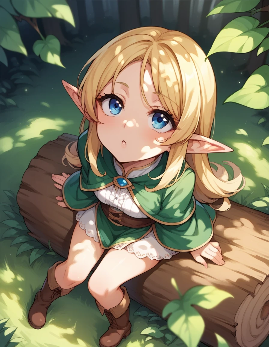 score_9, score_8_up, score_7_up, score_6_up, score_5_up, score_4_up, source_anime, BREAK, 1girl, solo, elf girl, elf ears, pixie, sitting on log, forest, blue eyes,from above,looking up,ground,blonde hair,(dappled sunlight:1.2),blurry,depth of field, boots,leaf