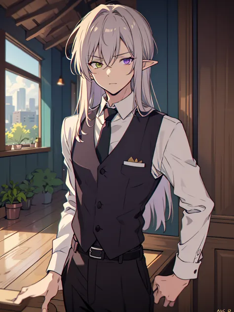 (One mature man), (Purple and blue heterochromia), Cool 男 elf, Tie up your silver straight hair, Please wear a long shirt and ve...