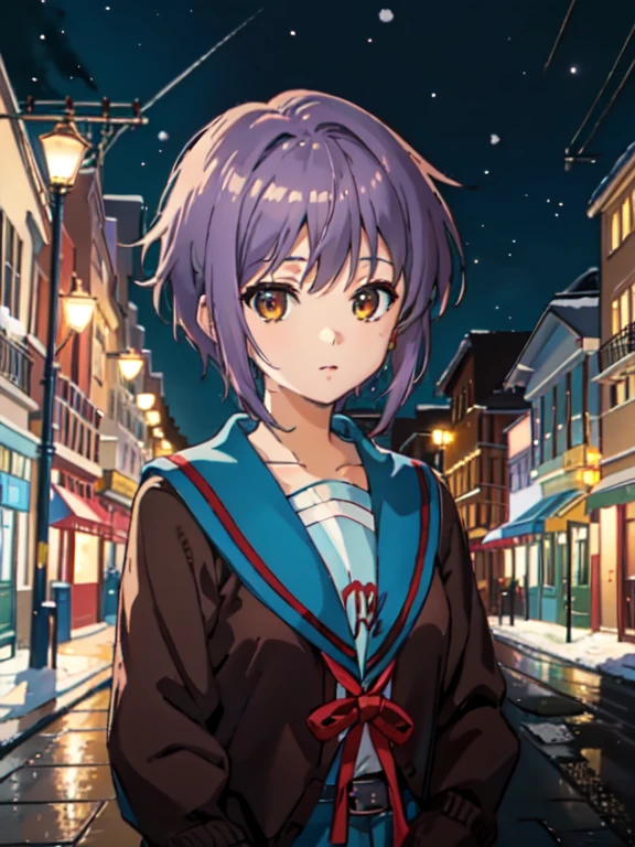 masterpiece, best quality, high resolution, cowboy shot, anime coloring, ,NIGHT, pavement, snowing, snow,utility pole, (Pavement and Snowscape:1.2) kyoani haruhi style, cinematic, ,kyoani haruhi style, 1girl, solo, yuki nagato, kita high , short hair, , blue sailor collar, sailor collar, serafuku, cardigan, purple hair, bangs, brown eyes, anime coloring, small breasts, ((masterpiece)), looking at viewer,