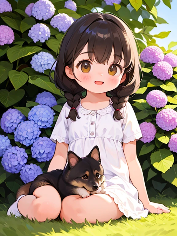 (highest quality,4K,8k,High resolution,masterpiece:1.2), Very detailed, (Deformed, Realistic, Realistic:1.3)，One Girl，cute，Very short stature，，Laughing happily, Brown eyes，length, fluffy, Black hair braids，White Dress，Cuddling a German Shepherd Dog，The dog is much bigger than the girl.，The dog is a German Shepherd，The background in early summer is the garden of a country house，Hydrangea，