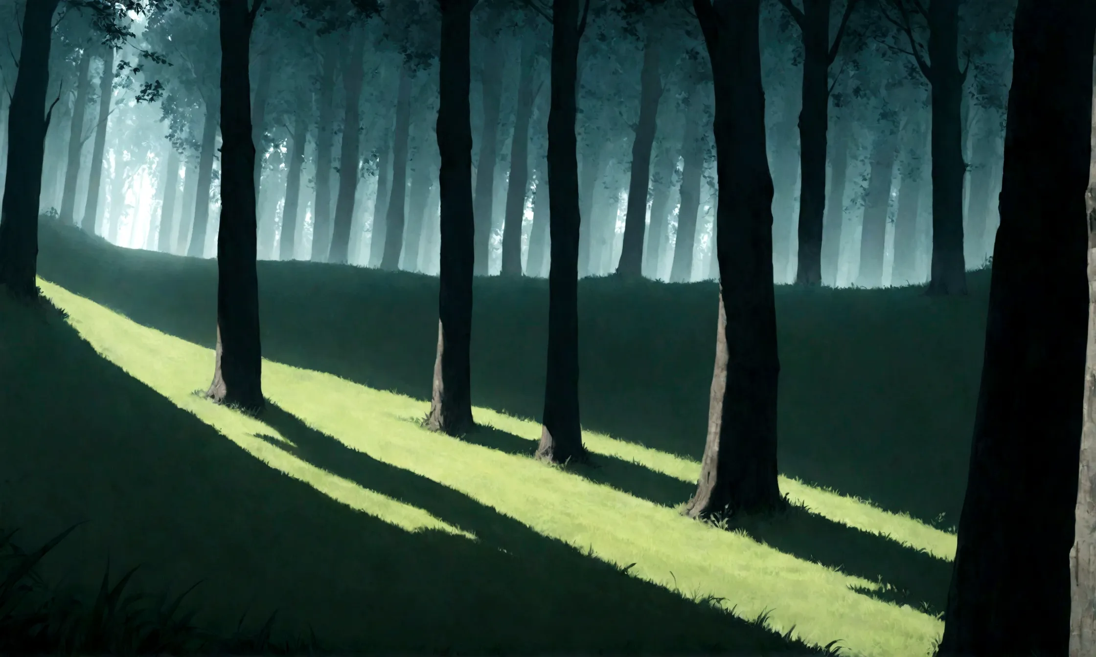 Dense, dark forest seen from the edge of a bright grassy field, the trees forming a thick, shadowy wall --ar 16:9