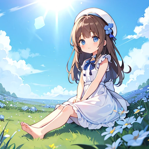 1 girl, white frill dress, blue flower field, sunlight, blue sky, summer, white beret, brown hair, blue eyes, princess long hair, short height, she sits barefoot on flowers,