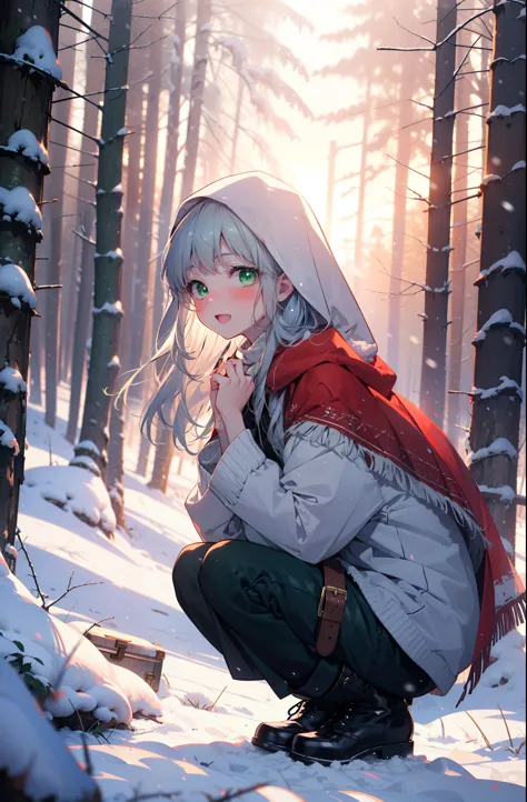 index, index, (Green Eyes:1.5), Silver Hair, Long Hair, (Flat Chest:1.2),smile,blush,White Breath,
Open your mouth,snow,Ground b...