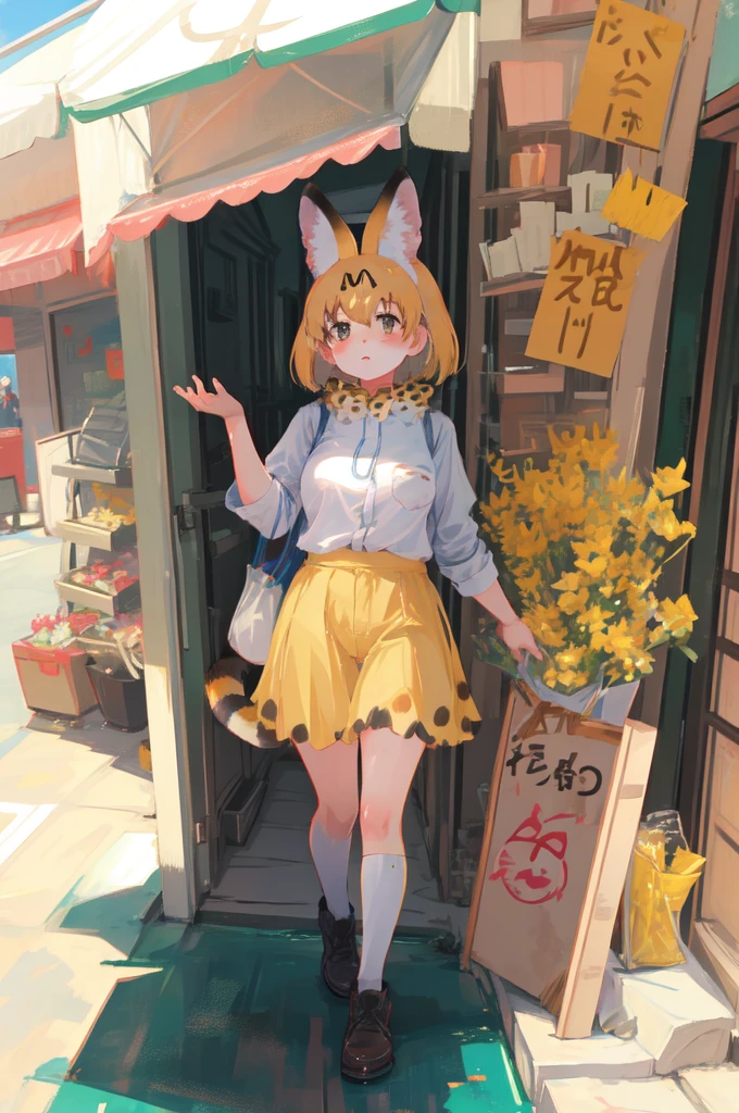 best quality, 1girl, serval (kemono friends), kemono friends, serval