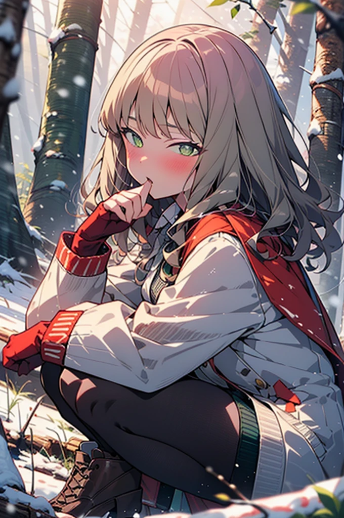 minami yume ,sss Dynazenon ,Long Hair, Brown Hair, (Green Eyes:1.5) ,blush,White Breath,
Open your mouth,snow,Ground bonfire, Outdoor, boots, snowing, From the side, wood, suitcase, Cape, Blurred, forest, White handbag, nature,  Squat, Mouth closed, Cape, winter, Written boundary depth, Black shoes, red Cape break looking at viewer, Upper Body, whole body, break Outdoor, forest, nature, break (masterpiece:1.2), Highest quality, High resolution, unity 8k wallpaper, (shape:0.8), (Beautiful and beautiful eyes:1.6), Highly detailed face, Perfect lighting, Extremely detailed CG, (Perfect hands, Perfect Anatomy),