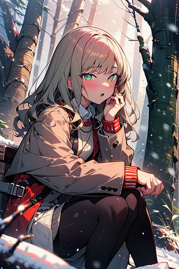 minami yume ,sss Dynazenon ,Long Hair, Brown Hair, (Green Eyes:1.5) ,blush,White Breath,
Open your mouth,snow,Ground bonfire, Outdoor, boots, snowing, From the side, wood, suitcase, Cape, Blurred, forest, White handbag, nature,  Squat, Mouth closed, Cape, winter, Written boundary depth, Black shoes, red Cape break looking at viewer, Upper Body, whole body, break Outdoor, forest, nature, break (masterpiece:1.2), Highest quality, High resolution, unity 8k wallpaper, (shape:0.8), (Beautiful and beautiful eyes:1.6), Highly detailed face, Perfect lighting, Extremely detailed CG, (Perfect hands, Perfect Anatomy),