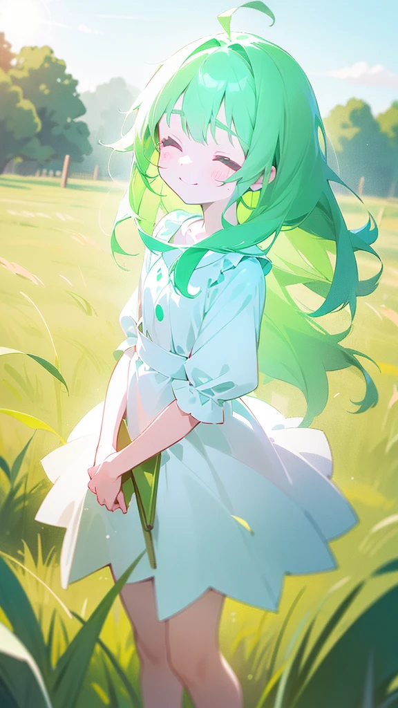 ((1loli girl,4 years old)),((small body)),little white dress,green hair,long hair,closed eyes,loli,solo,cute,happy face,smile,blush,cowboy shot,(standing in a grass field,sunlight),(glowing body)