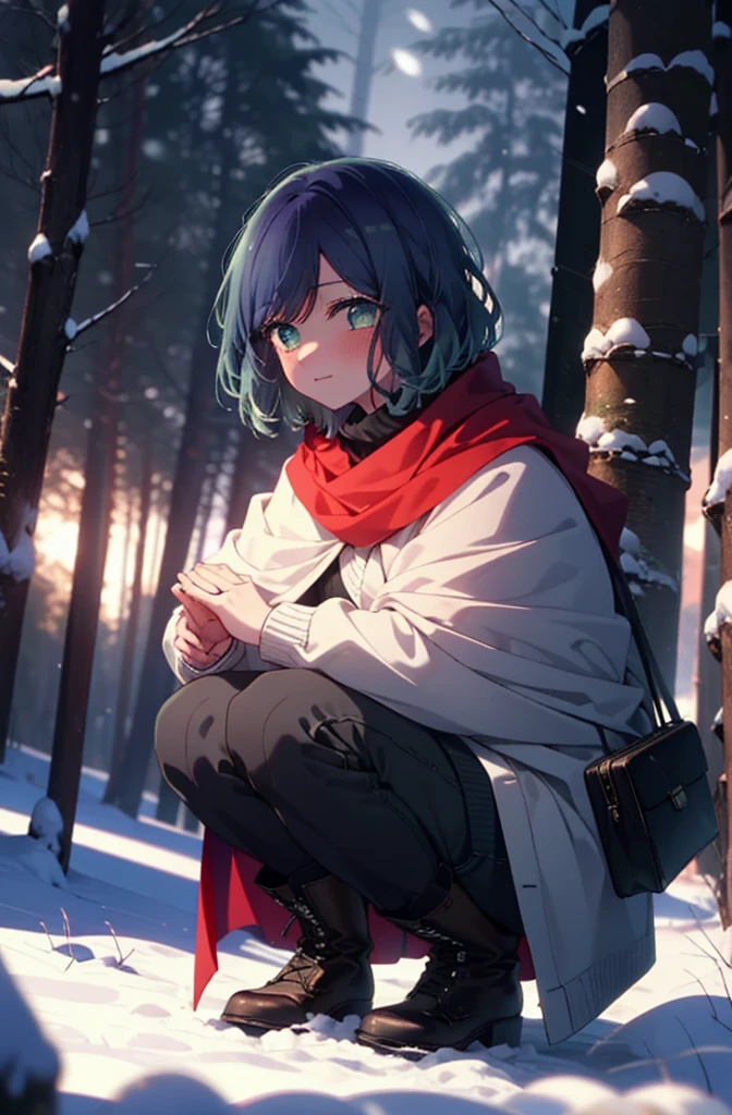 akanekurokawa, akane kurokawa, bangs, (Green Eyes:1.3), Blue Hair, Medium Hair, dark Blue Hair,smile,blush,White Breath,
Open your mouth,snow,Ground bonfire, Outdoor, boots, snowing, From the side, wood, suitcase, Cape, Blurred, , forest, White handbag, nature,  Squat, Mouth closed, Cape, winter, Written boundary depth, Black shoes, red Cape break looking at viewer, Upper Body, whole body, break Outdoor, forest, nature, break (masterpiece:1.2), Highest quality, High resolution, unity 8k wallpaper, (shape:0.8), (Beautiful and beautiful eyes:1.6), Highly detailed face, Perfect lighting, Highly detailed CG, (Perfect hands, Perfect Anatomy),
