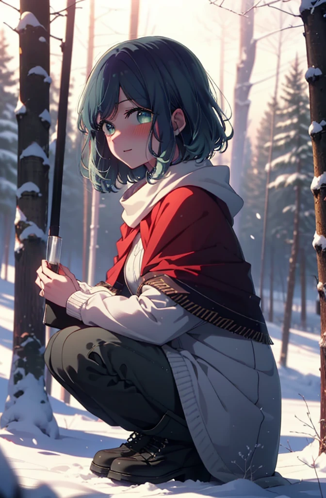 akanekurokawa, akane kurokawa, bangs, (Green Eyes:1.3), Blue Hair, Medium Hair, dark Blue Hair,smile,blush,White Breath,
Open your mouth,snow,Ground bonfire, Outdoor, boots, snowing, From the side, wood, suitcase, Cape, Blurred, , forest, White handbag, nature,  Squat, Mouth closed, Cape, winter, Written boundary depth, Black shoes, red Cape break looking at viewer, Upper Body, whole body, break Outdoor, forest, nature, break (masterpiece:1.2), Highest quality, High resolution, unity 8k wallpaper, (shape:0.8), (Beautiful and beautiful eyes:1.6), Highly detailed face, Perfect lighting, Highly detailed CG, (Perfect hands, Perfect Anatomy),