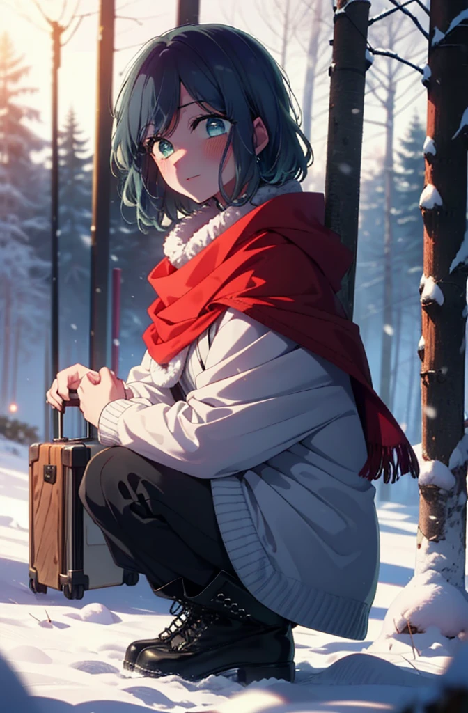 akanekurokawa, akane kurokawa, bangs, (Green Eyes:1.3), Blue Hair, Medium Hair, dark Blue Hair,smile,blush,White Breath,
Open your mouth,snow,Ground bonfire, Outdoor, boots, snowing, From the side, wood, suitcase, Cape, Blurred, , forest, White handbag, nature,  Squat, Mouth closed, Cape, winter, Written boundary depth, Black shoes, red Cape break looking at viewer, Upper Body, whole body, break Outdoor, forest, nature, break (masterpiece:1.2), Highest quality, High resolution, unity 8k wallpaper, (shape:0.8), (Beautiful and beautiful eyes:1.6), Highly detailed face, Perfect lighting, Highly detailed CG, (Perfect hands, Perfect Anatomy),