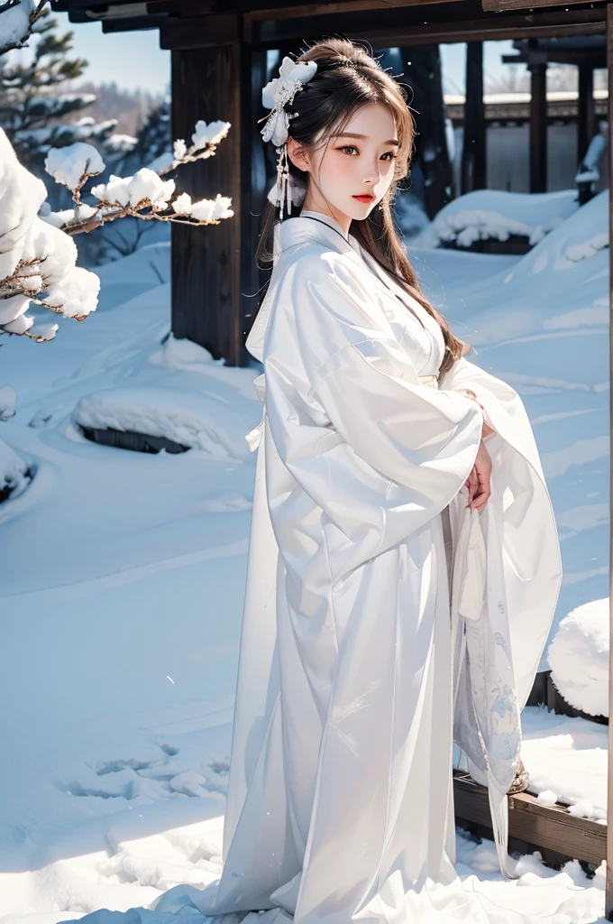 best quality, 8k, very delicate and beautiful, highly detailed face and skin texture, shiny skin, high resolution, white long hair japanese girl in white kimono with white fox ears and white fox tail on a snow hill, full body, sharp focus