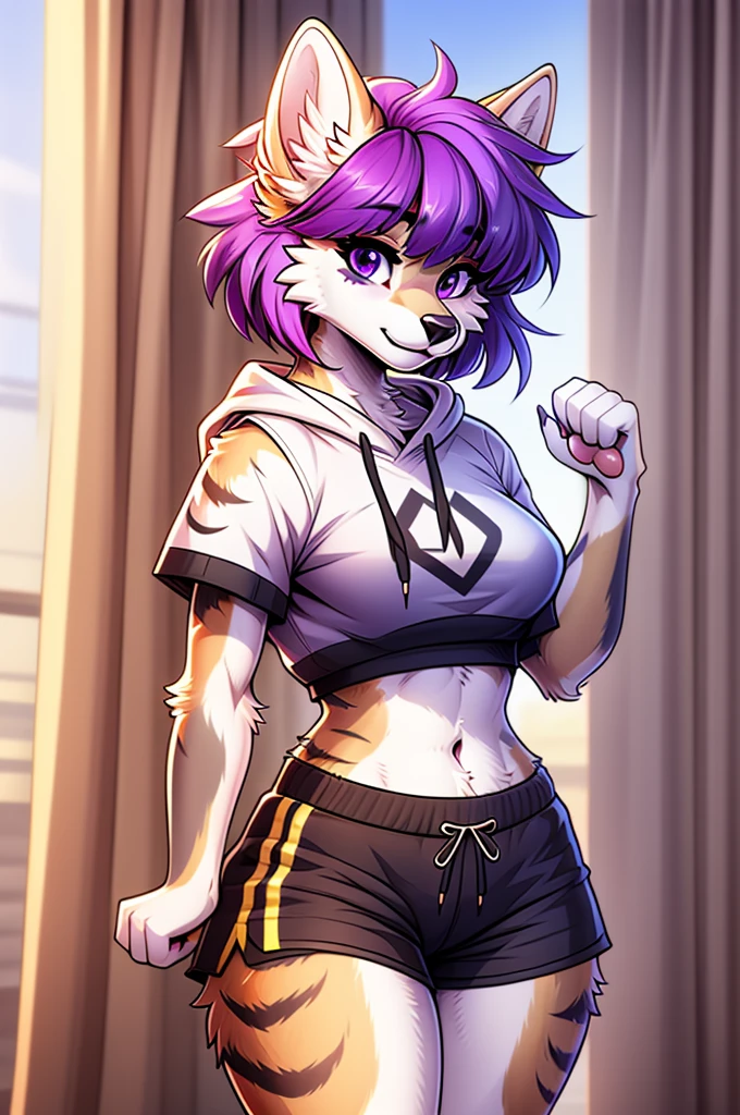 cel shading, detailed eyes, best quality, highly detailed, masterpiece, best quality, solo female, white wolf fursona, purple eyes, blunt bangs, curtain bangs, sidelocks, short hair, crop top hoodie, paw pose, half-body, shorts