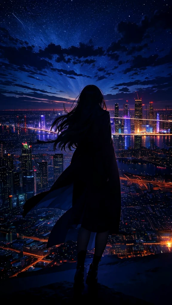 femme aux cheveux longs，long manteau， Silhouette de robe， vue arrière，Ciel spatial, comète, Style animé, Pétales dansants，Vue nocturne de la ville depuis le flanc de la montagne，