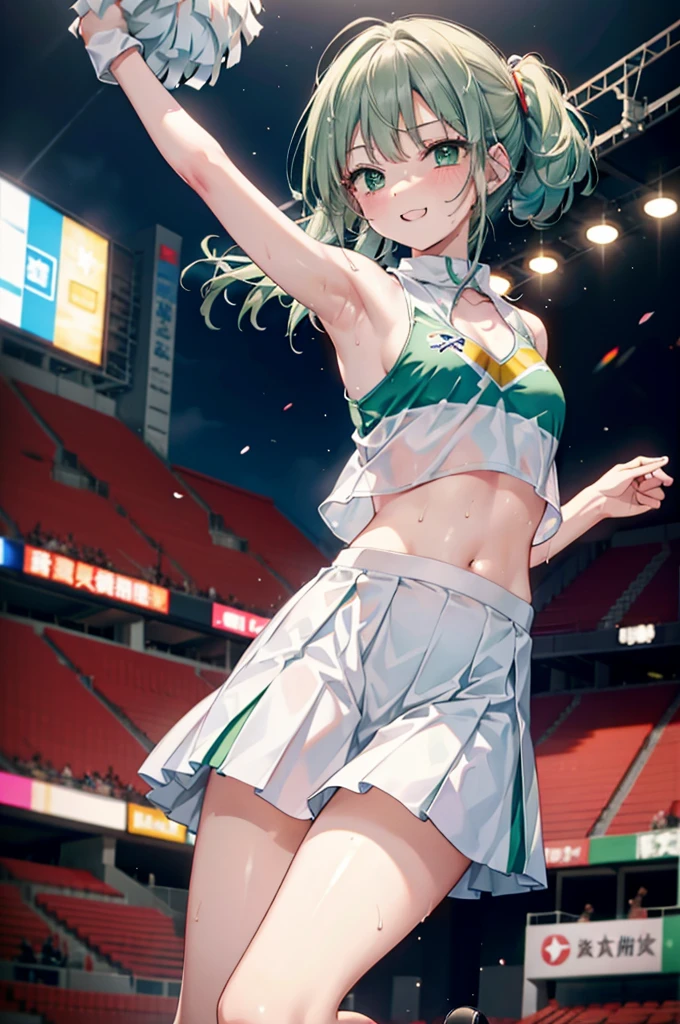 index, index,Silver Hair, (Green Eyes:1.5),Long Hair, (Flat Chest:1.2),Grin,tooth,Daytime,sunny,
,(cheer leading), (whole body), Lower, (Sweaty), Sweaty Wet Clothes, (White clothes),Sleeveless, Pleated skirt,Black socks,sneakers, Belly button support, playground, (Jump), (Jump), 足を曲げてJumpする, air, blue sky, Grass原, smile,Cheerleader, Pom-pom \(cheer leading\)have, Grass, smile, whole bodyがイラストに入るように,
break looking at viewer, whole body,(Cowboy Shot:1. 5) ,
break indoors, Stadium,crowd, people々々々,A packed audience,
break (masterpiece:1.2), Highest quality, High resolution, unity 8k wallpaper, (shape:0.8), (Beautiful and beautiful eyes:1.6), Highly detailed face, Perfect lighting, Extremely detailed CG, (Perfect hands, Perfect Anatomy),