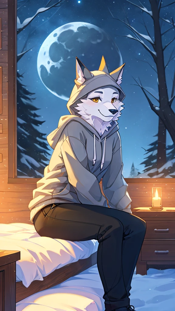 Solo, Female, Porsha Crystal, (Furry anthro), (Detailed background, Detailed lighting), Inside cozy bedroom, ((Night sky, Snowy forest in background)), Moon light reflecting through the window, (Grey hoodie, Black pants), Sitting down on side of bed, (Bored expression)