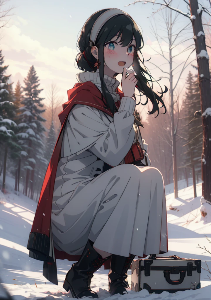 Your thorns, One Girl, blush, Black Hair,Red eyes, hair band, jewelry, Earrings, happy smile, smile, Open your mouth,
Open your mouth,snow,Ground bonfire, Outdoor, boots, snowing, From the side, wood, suitcase, Cape, Blurred, Eat food, forest, White handbag, nature,  Squat, Mouth closed, フードed Cape, winter, Written boundary depth, Black shoes, red Cape break looking at viewer, Upper Body, whole body, break Outdoor, forest, nature, break (masterpiece:1.2), Highest quality, High resolution, unity 8k wallpaper, (shape:0.8), (Beautiful and beautiful eyes:1.6), Highly detailed face, Perfect lighting, Highly detailed CG, (Perfect hands, Perfect Anatomy),