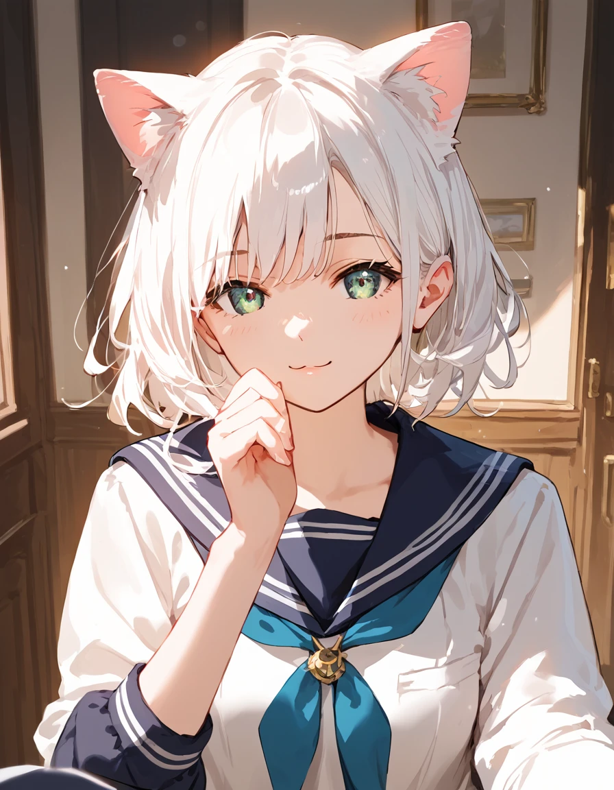 score_9, score_8_up, score_7_up, score_6_up, source_anime, rating_safe, masterpiece, best qualityer, Cat-eared girl with white hair, Straight ahead, Viewer's POV, hands out, adolable, sailor outfit