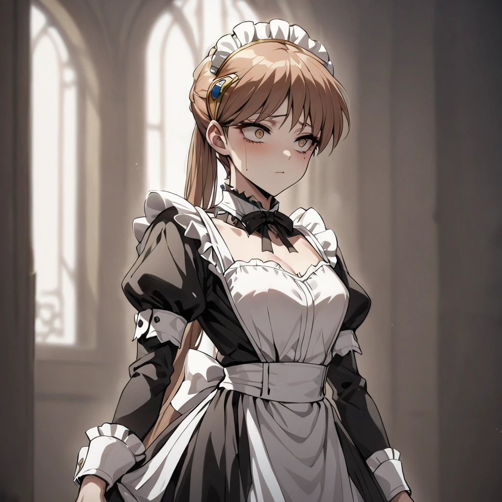 ((Highest quality)), ((masterpiece)), (detailed), （Perfect Face）、The woman is Princess Leona, with medium-long light brown hair, wearing a Victorian maid outfit and standing upright with good posture.、The woman has been brainwashed and is expressionless, with rape eyes