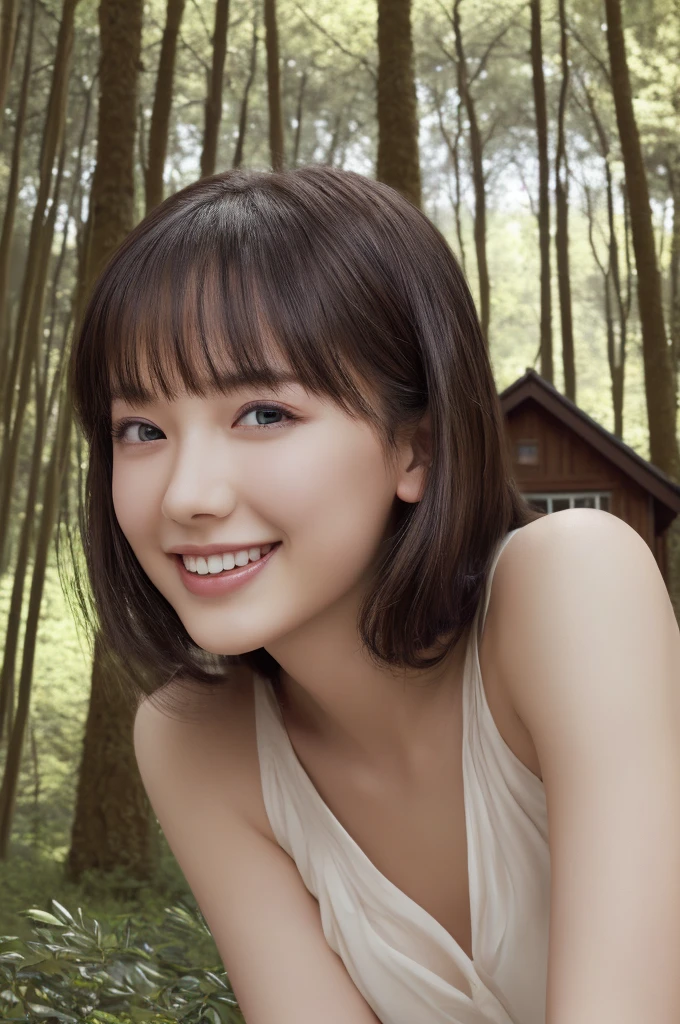 ((table top:1.4, highest quality)), (realistic pictures:1.4), 
((1 girl)), 
(超High resolution:1.2), very delicate and beautiful, wonderful, Highly detailed CG Unity 8k wallpaper, Super detailed, High resolution, 
soft light, beautiful detailed girl, highly detailed eyes and face, beautifully detailed nose, beautiful and detailed eyes, 
(princess of fairyland:1.3), 
cinematic lighting, perfect anatomy, slender body, , (parted bangs),
(little house in the forest:1.3), 
cowboy shot, looking at the viewer, smile

