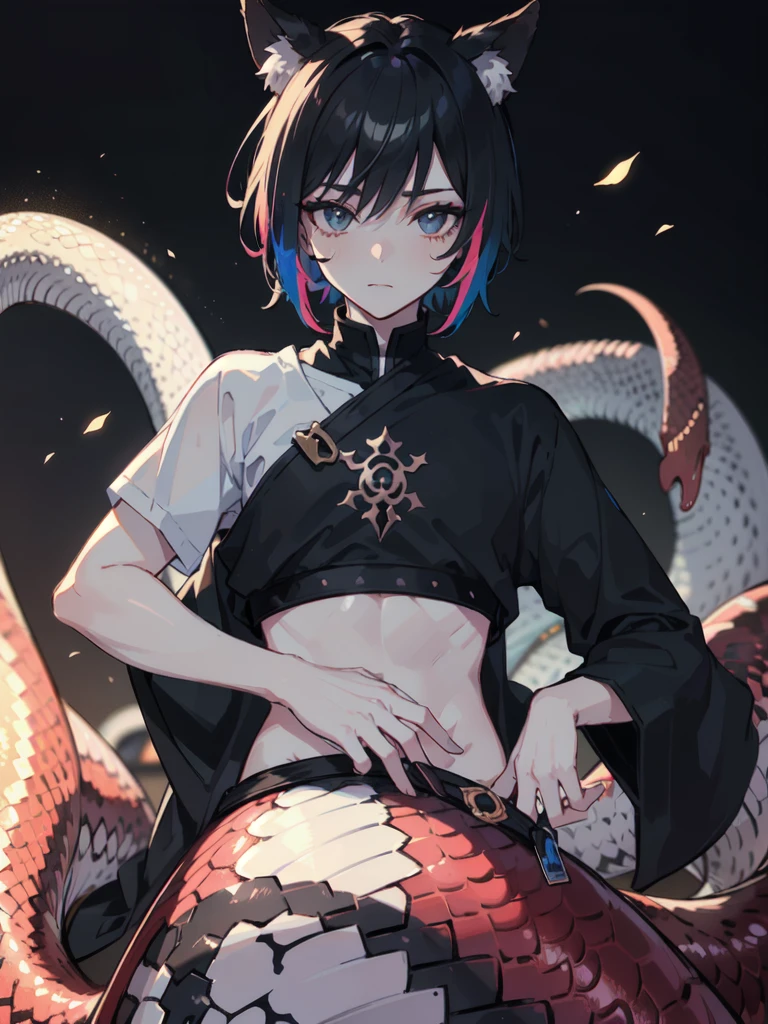 1 boy,more details in eyes,cute,looking at viewer, adorabel boy,cute face,handsome,young,juvenile,((masterpiece:1.4,best quality)),multiple details,colorful hair,eyeshadow, lamia, snake tail, emo, crop top, black snake tail, fox ears