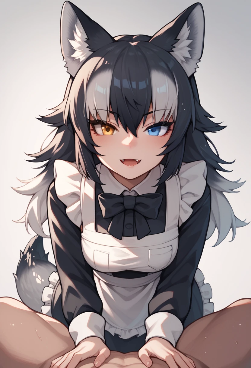 Score_9, Score_8_up, Score_7_up, Score_6_up, Score_5_up, Score_4_up, source_anime, 1girl, nsfw, grey wolf \(kemono friends\), heterochromia, tail, wolf ears, maid, doggystyle, sex, pov