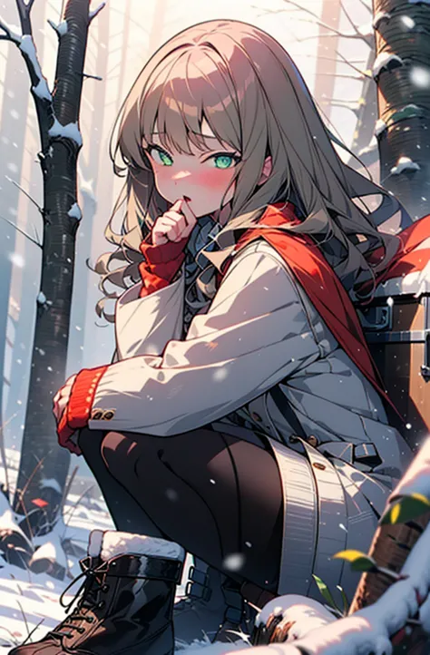 minami yume ,sss Dynazenon ,Long Hair, Brown Hair, (Green Eyes:1.5) ,blush,White Breath,
Open your mouth,snow,Ground bonfire, Ou...