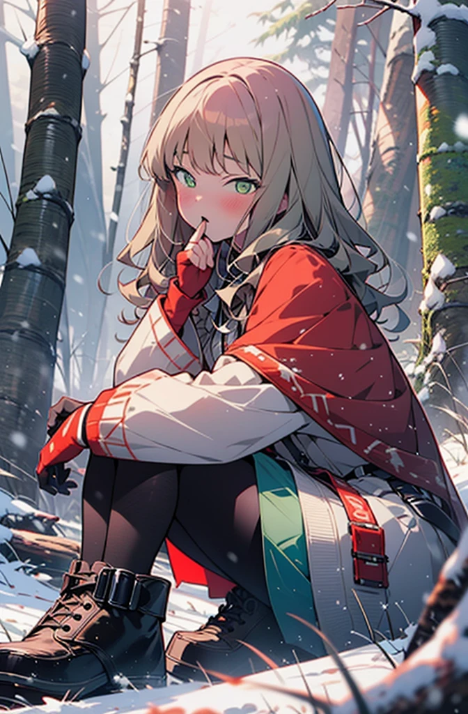 minami yume ,sss Dynazenon ,Long Hair, Brown Hair, (Green Eyes:1.5) ,blush,White Breath,
Open your mouth,snow,Ground bonfire, Outdoor, boots, snowing, From the side, wood, suitcase, Cape, Blurred, forest, White handbag, nature,  Squat, Mouth closed, Cape, winter, Written boundary depth, Black shoes, red Cape break looking at viewer, Upper Body, whole body, break Outdoor, forest, nature, break (masterpiece:1.2), Highest quality, High resolution, unity 8k wallpaper, (shape:0.8), (Beautiful and beautiful eyes:1.6), Highly detailed face, Perfect lighting, Highly detailed CG, (Perfect hands, Perfect Anatomy),