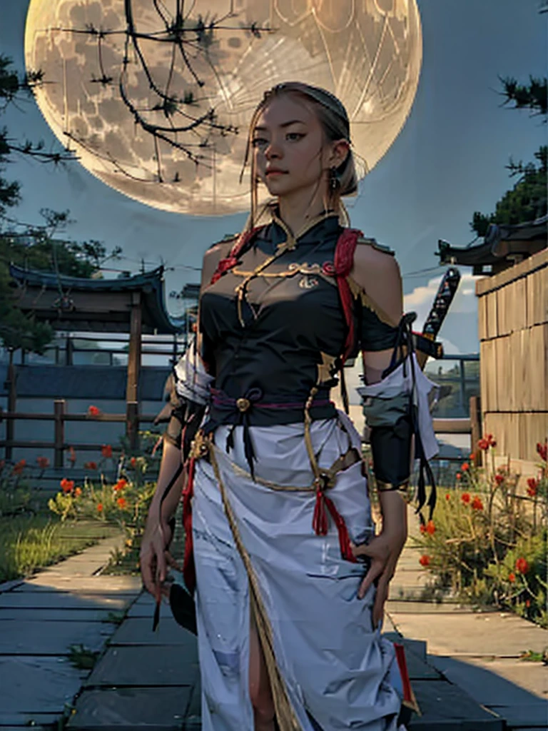 忍者女孩, 忍者服裝, 雕像背面的武士刀, 金月, 阴暗的天空.