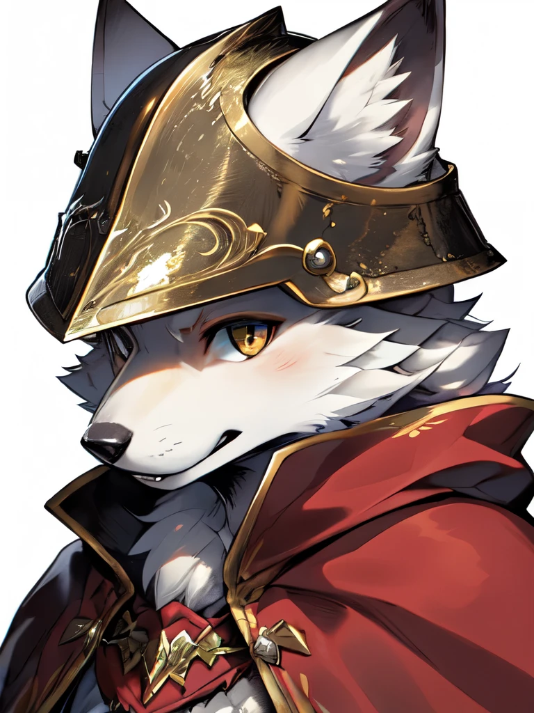  1 person, 8k Werewolf Portrait, Arctic fox, Arctic fur is as white as snow，Paladin，helmet，Red Cape, complex, Very detailed, number, Smooth, Clear focus, illustration, ((masterpiece))，Yoshitaka Amano