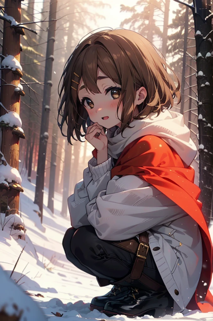 yuihirasawa, Yui Hirasawa, short hair, Brown Hair, hair ornaments, (Brown eyes:1.5), Hair Clip、smile,smile,blush,White Breath,
Open your mouth,snow,Ground bonfire,, Outdoor, boots, snowing, From the side, wood, suitcase, Cape, Blurred, , forest, White handbag, nature,  Squat, Mouth closed, Cape, winter, Written boundary depth, Black shoes, red Cape break looking at viewer, Upper Body, whole body, break Outdoor, forest, nature, break (masterpiece:1.2), Highest quality, High resolution, unity 8k wallpaper, (shape:0.8), (Beautiful and beautiful eyes:1.6), Highly detailed face, Perfect lighting, Extremely detailed CG, (Perfect hands, Perfect Anatomy),