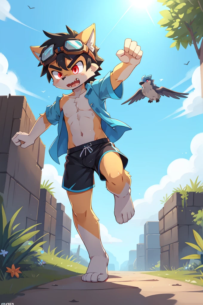 score_9,score_8_up,score_7_up, source_cartoon, source_furry, Furry shota, young, wolf, black hair, long spiky ponytail, blue eyes, detailed body fur, ((goggles, blue hawaiian shirt, open clothes, one shoulder off, black swim trunks)), looking at another, fangs, clear grey body fur, detailed face, big eyebrows, detailed eyes, detailed body, detailed body fur, detailed hands, glistering body, shiny body, skinny, uperbody, solo, skinny, running, feet towards viewer, angry expression, glowing red eyes, outdoors, from above, fight, dynamic action shot, speed lines, motion blur, Birds Eye view, fight, Kick, feet focus,