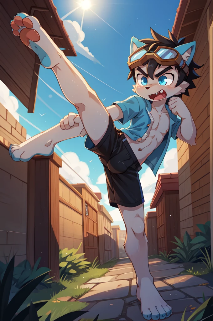 score_9,score_8_up,score_7_up, source_cartoon, source_furry, Furry shota, young, wolf, black hair, long spiky ponytail, blue eyes, detailed body fur, ((goggles, blue hawaiian shirt, open clothes, one shoulder off, black swim trunks)), looking at another, fangs, clear grey body fur, detailed face, big eyebrows, detailed eyes, detailed body, detailed body fur, detailed hands, glistering body, shiny body, skinny, uperbody, solo, skinny, running, kick towards viewer, angry expression, glowing blue eyes, outdoors, from above, fight, dynamic action shot, speed lines, motion blur, Birds Eye view, fighter pose, feet focus, barefoot, feet with three toes, high kick,