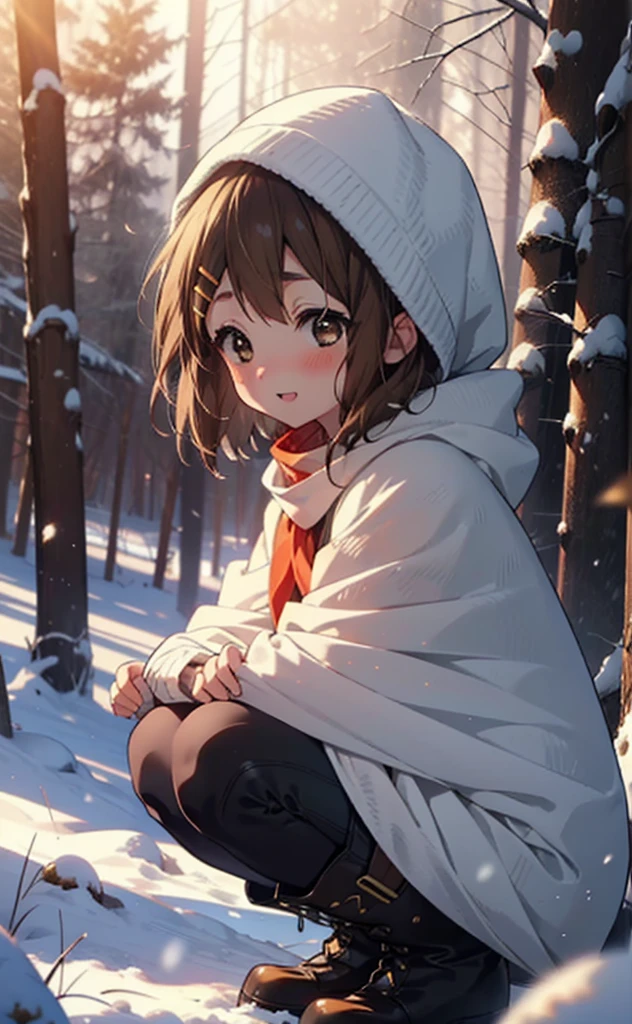 yuihirasawa, Yui Hirasawa, short hair, Brown Hair, hair ornaments, (Brown eyes:1.5), Hair Clip、smile,smile,blush,White Breath,
Open your mouth,snow,Ground bonfire,, Outdoor, boots, snowing, From the side, wood, suitcase, Cape, Blurred, , forest, White handbag, nature,  Squat, Mouth closed, Cape, winter, Written boundary depth, Black shoes, red Cape break looking at viewer, Upper Body, whole body, break Outdoor, forest, nature, break (masterpiece:1.2), Highest quality, High resolution, unity 8k wallpaper, (shape:0.8), (Beautiful and beautiful eyes:1.6), Highly detailed face, Perfect lighting, Extremely detailed CG, (Perfect hands, Perfect Anatomy),