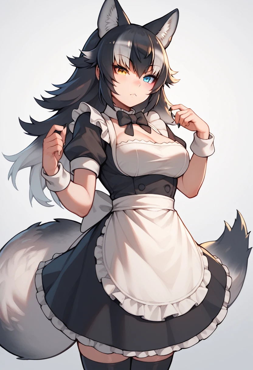 Score_9, Score_8_up, Score_7_up, Score_6_up, Score_5_up, Score_4_up, source_anime, 1girl, grey wolf \(kemono friends\), heterochromia, tail, wolf ears, maid