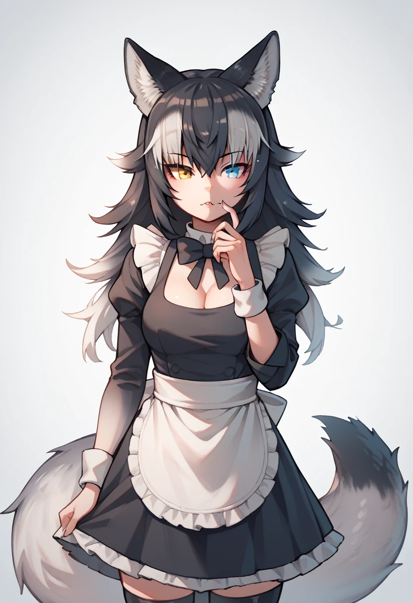 Score_9, Score_8_up, Score_7_up, Score_6_up, Score_5_up, Score_4_up, source_anime, 1girl, grey wolf \(kemono friends\), heterochromia, tail, wolf ears, maid