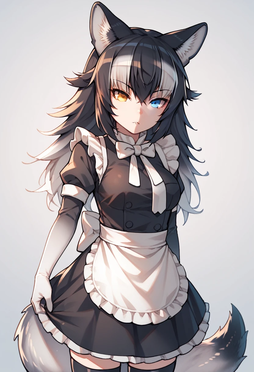 Score_9, Score_8_up, Score_7_up, Score_6_up, Score_5_up, Score_4_up, source_anime, 1girl, grey wolf \(kemono friends\), heterochromia, tail, wolf ears, maid