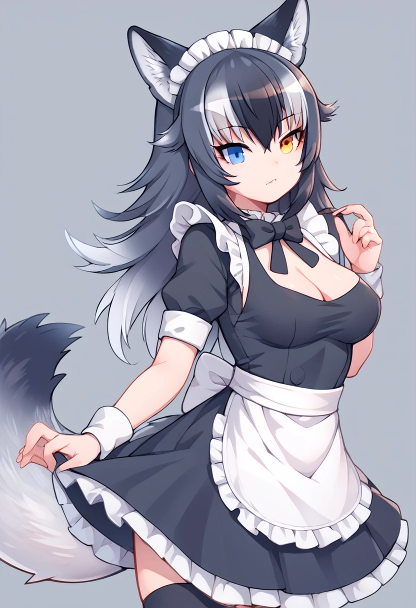 Score_9, Score_8_up, Score_7_up, Score_6_up, Score_5_up, Score_4_up, source_anime, 1girl, grey wolf \(kemono friends\), heterochromia, tail, wolf ears, maid