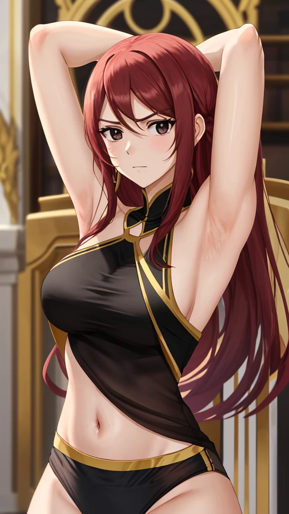 The best quality, erza, 1girl, solaminte, long_Hair, sinos, Looking_in_viewer, Expressionless, big size ass_sinos, Brown_Look likes, neckline, clavicle, rLook like_Hair, Hair_about_one_Look like, throne, high quality, dance, Dancer, Dance clothes, stomach, stomach, Bedlah, Perfect face,Look likes expresivos, black eyes , big breasts, armpits