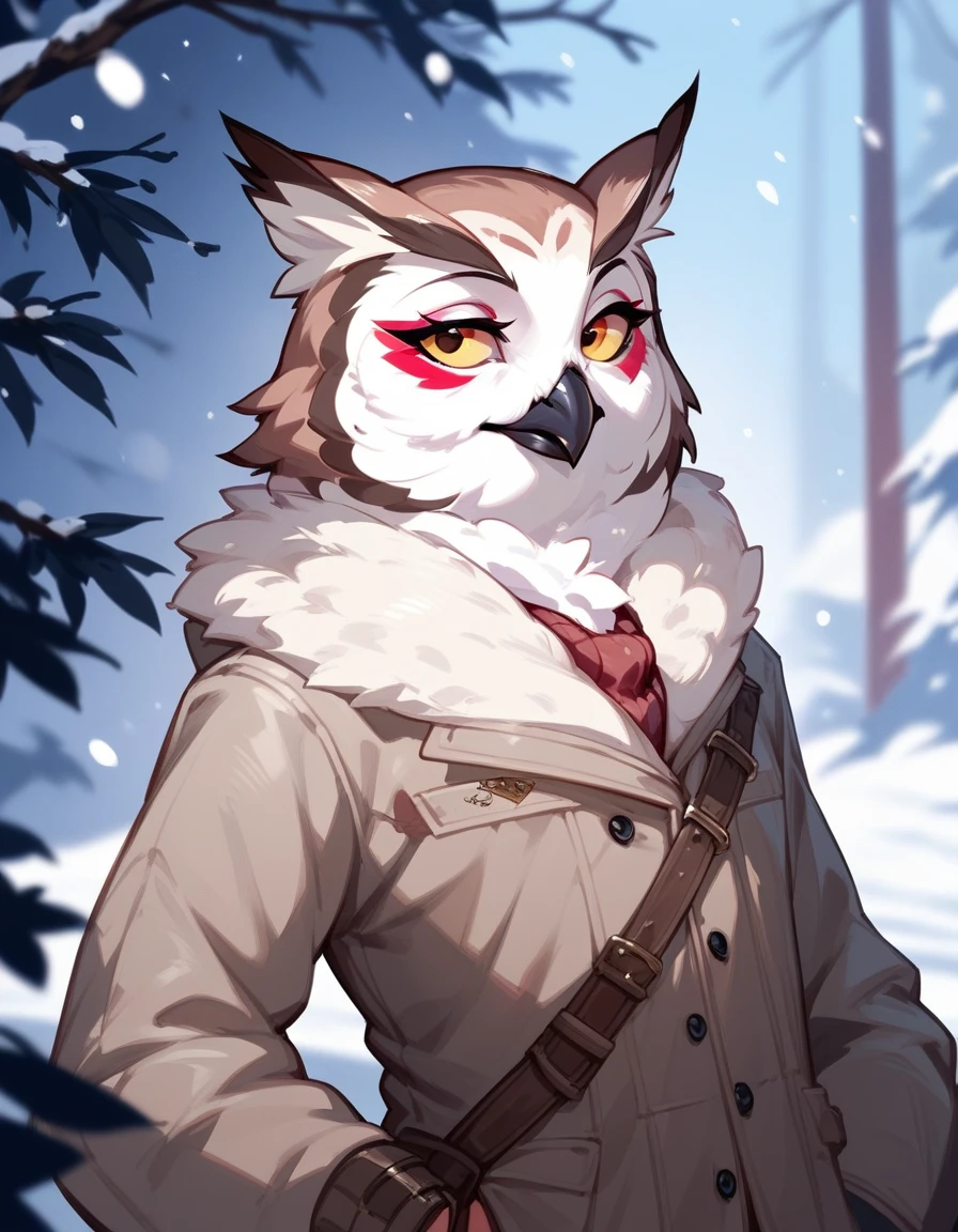 score_9,score_8_up,score_7_up, an Anthro avian snow owl, 