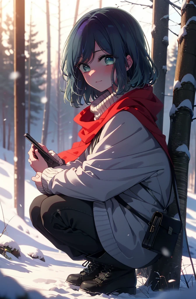 akanekurokawa, akane kurokawa, bangs, (Green Eyes:1.3), Blue Hair, Medium Hair, dark Blue Hair,smile,blush,White Breath,
Open your mouth,snow,Ground bonfire, Outdoor, boots, snowing, From the side, wood, suitcase, Cape, Blurred, , forest, White handbag, nature,  Squat, Mouth closed, Cape, winter, Written boundary depth, Black shoes, red Cape break looking at viewer, Upper Body, whole body, break Outdoor, forest, nature, break (masterpiece:1.2), Highest quality, High resolution, unity 8k wallpaper, (shape:0.8), (Beautiful and beautiful eyes:1.6), Highly detailed face, Perfect lighting, Extremely detailed CG, (Perfect hands, Perfect Anatomy),