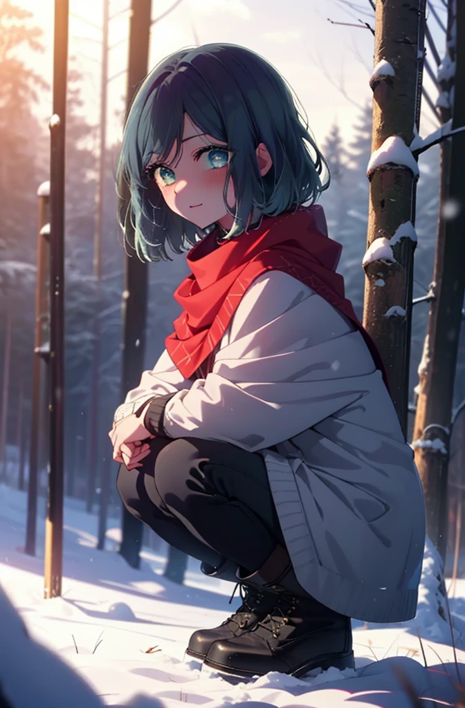 akanekurokawa, akane kurokawa, bangs, (Green Eyes:1.3), Blue Hair, Medium Hair, dark Blue Hair,smile,blush,White Breath,
Open your mouth,snow,Ground bonfire, Outdoor, boots, snowing, From the side, wood, suitcase, Cape, Blurred, , forest, White handbag, nature,  Squat, Mouth closed, Cape, winter, Written boundary depth, Black shoes, red Cape break looking at viewer, Upper Body, whole body, break Outdoor, forest, nature, break (masterpiece:1.2), Highest quality, High resolution, unity 8k wallpaper, (shape:0.8), (Beautiful and beautiful eyes:1.6), Highly detailed face, Perfect lighting, Extremely detailed CG, (Perfect hands, Perfect Anatomy),